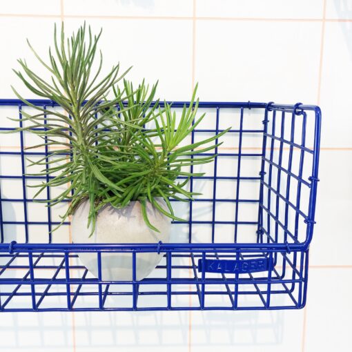 WIRE SHELF LARGE, ULTRAMARINE BLUE - 4